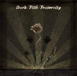 Dark Filth Fraternity : Cleanse My Soul Dark Filth Fraternity : Cleanse My Soul